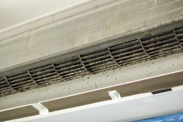Best Air Duct Cleaning Company Near Me  in East Cleveland, TN